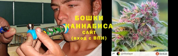 прущие крисы Сясьстрой