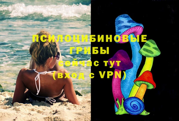 прущие крисы Сясьстрой