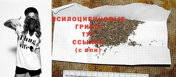 прущие крисы Сясьстрой