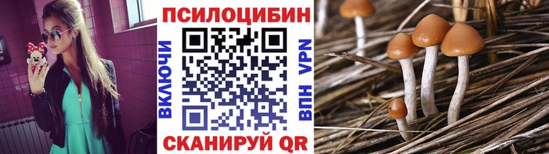 закладки  Тихорецк  Галлюциногенные грибы Psilocybine cubensis 
