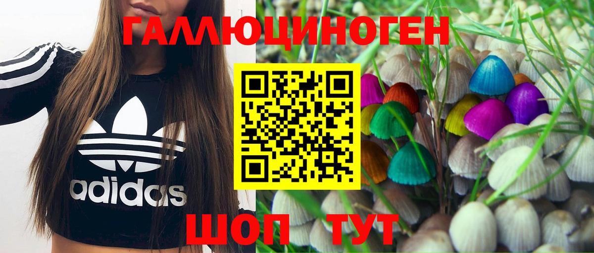 Галлюциногенные грибы ЛСД Тихорецк