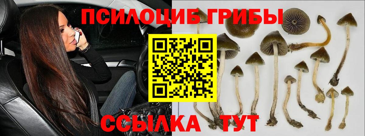 Псилоцибиновые грибы мицелий  Вход с VPN  Тихорецк 